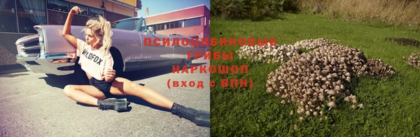 экстази Богданович