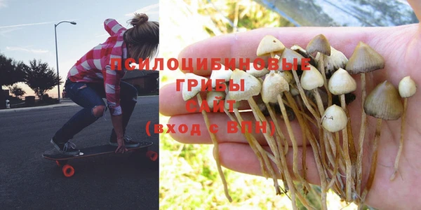 марки nbome Богородицк