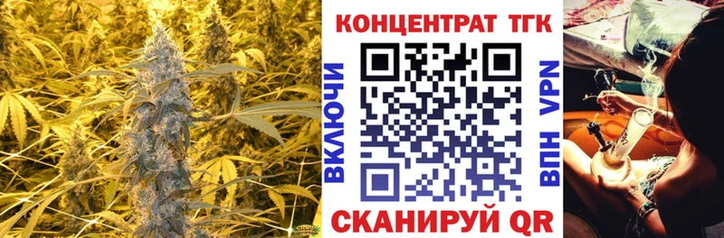 площадка состав  Мураши  ТГК концентрат 