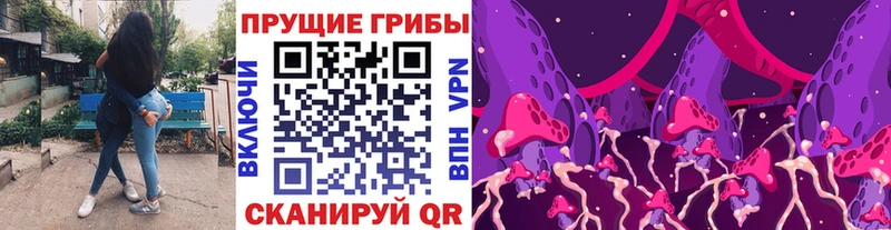 Псилоцибиновые грибы Cubensis Мураши